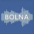 Bolna AI
