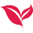 LogoAI.ai：免费在线 AI Logo 制作器