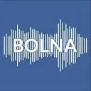 Bolna AI