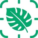 HeySproutly