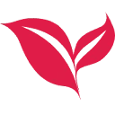LogoAI.ai:免费在线 AI Logo 制作器
