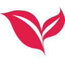 LogoAI.ai