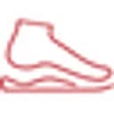 SprinSole Custom Orthotics