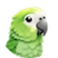 Parakeet AI