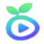 Seedance 2.0