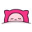 TheFluxTrain