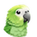 Parakeet AI