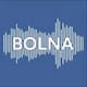 Bolna AI