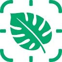 HeySproutly