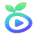 Seedance 2.0